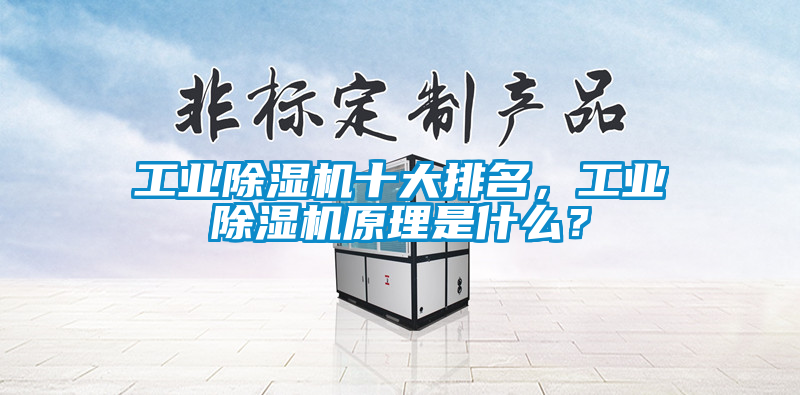 工業(yè)除濕機(jī)十大排名，工業(yè)除濕機(jī)原理是什么？