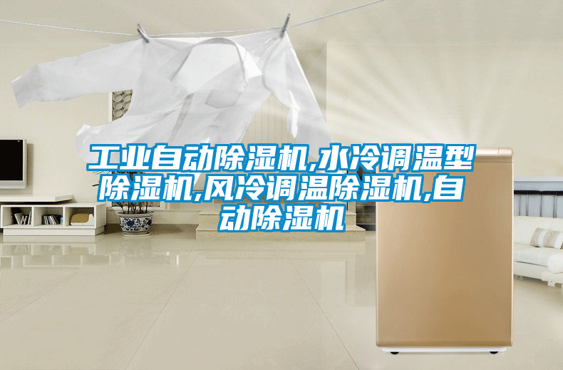 工業(yè)自動除濕機(jī),水冷調(diào)溫型除濕機(jī),風(fēng)冷調(diào)溫除濕機(jī),自動除濕機(jī)
