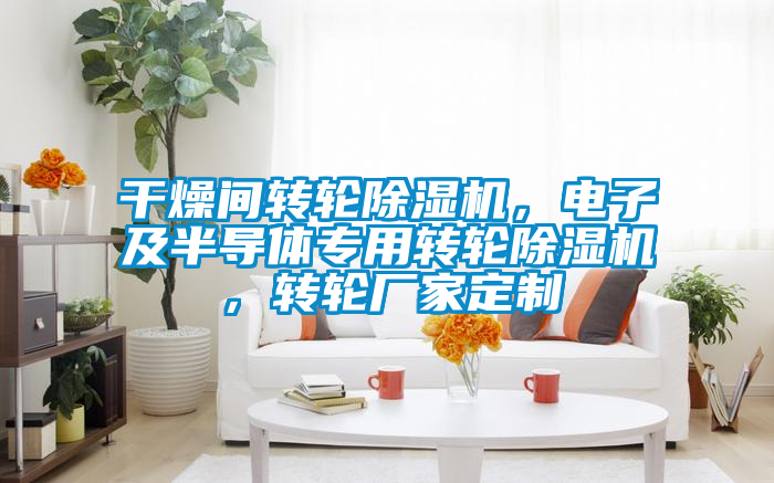 干燥間轉(zhuǎn)輪除濕機(jī)，電子及半導(dǎo)體專用轉(zhuǎn)輪除濕機(jī)，轉(zhuǎn)輪廠家定制