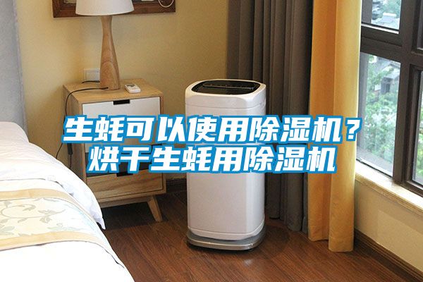 生蠔可以使用除濕機？烘干生蠔用除濕機