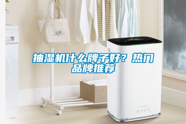抽濕機什么牌子好？熱門品牌推薦