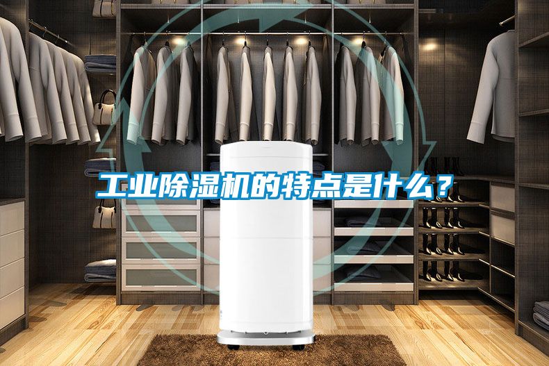 工業(yè)除濕機的特點是什么？