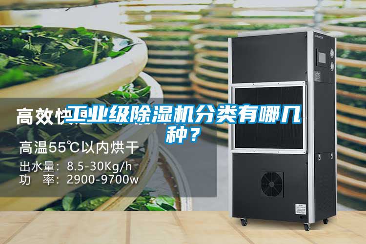 工業(yè)級除濕機分類有哪幾種？