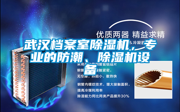 武漢檔案室除濕機(jī)，專業(yè)的防潮、除濕機(jī)設(shè)備