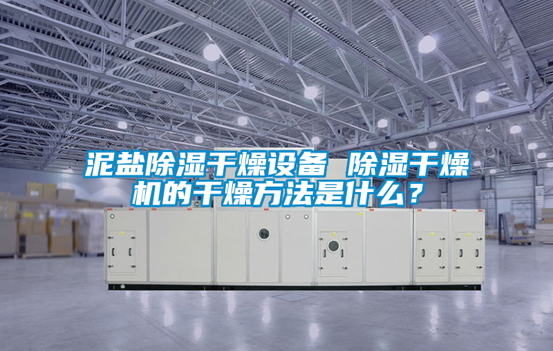 泥鹽除濕干燥設(shè)備 除濕干燥機(jī)的干燥方法是什么？