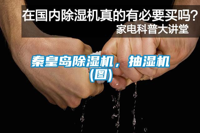 秦皇島除濕機(jī)，抽濕機(jī)(圖)