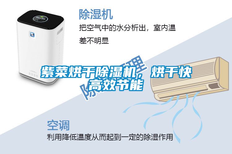 紫菜烘干除濕機(jī)，烘干快高效節(jié)能