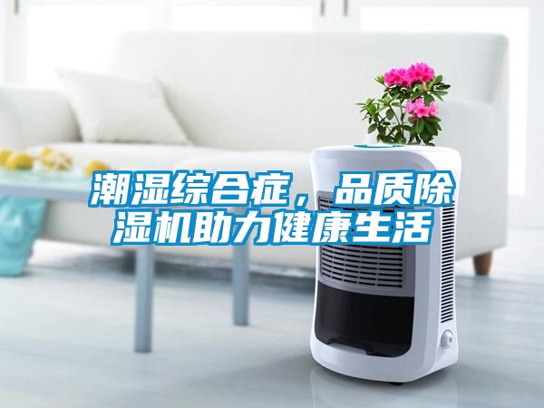 潮濕綜合癥，品質(zhì)除濕機(jī)助力健康生活