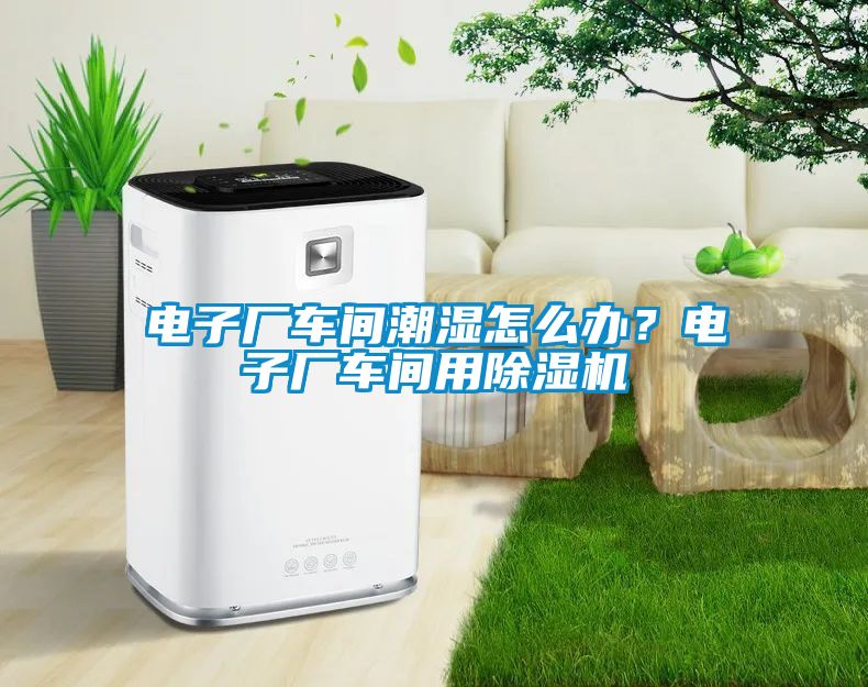 電子廠車間潮濕怎么辦？電子廠車間用除濕機