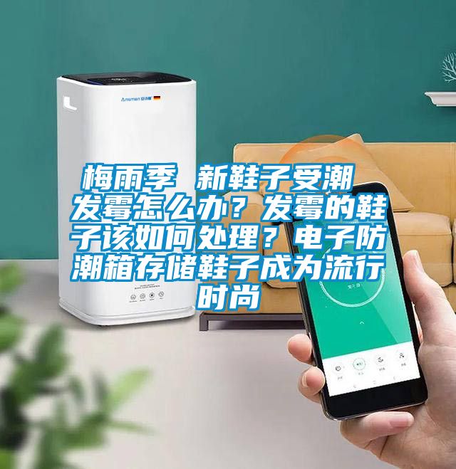 梅雨季 新鞋子受潮 發(fā)霉怎么辦？發(fā)霉的鞋子該如何處理？電子防潮箱存儲(chǔ)鞋子成為流行時(shí)尚