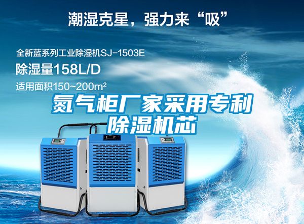 氮?dú)夤駨S(chǎng)家采用專(zhuān)利除濕機(jī)芯