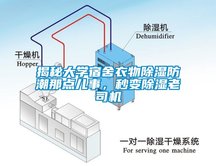 揭秘大學(xué)宿舍衣物除濕防潮那點(diǎn)兒事，秒變除濕老司機(jī)