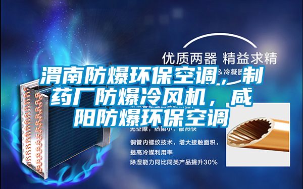 渭南防爆環(huán)保空調(diào)，制藥廠防爆冷風(fēng)機(jī)，咸陽(yáng)防爆環(huán)?？照{(diào)