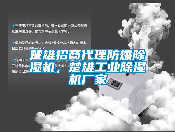 楚雄招商代理防爆除濕機(jī)，楚雄工業(yè)除濕機(jī)廠家