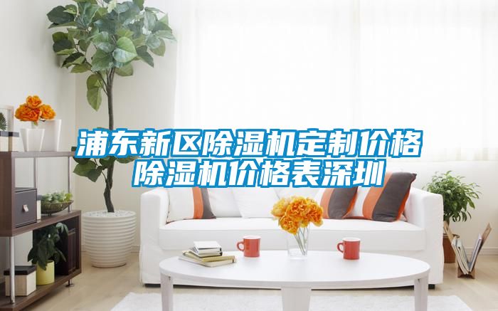 浦東新區(qū)除濕機(jī)定制價格 除濕機(jī)價格表深圳