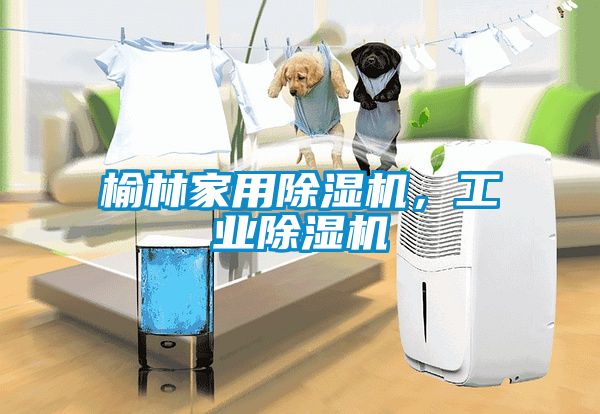 榆林家用除濕機，工業(yè)除濕機