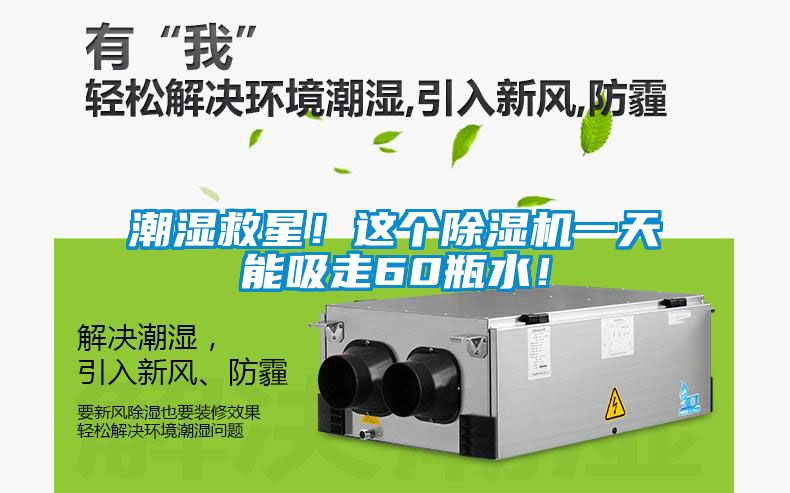 潮濕救星！這個除濕機一天能吸走60瓶水！