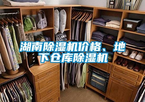 湖南除濕機(jī)價(jià)格、地下倉庫除濕機(jī)