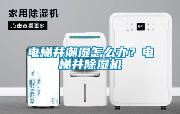 電梯井潮濕怎么辦？電梯井除濕機