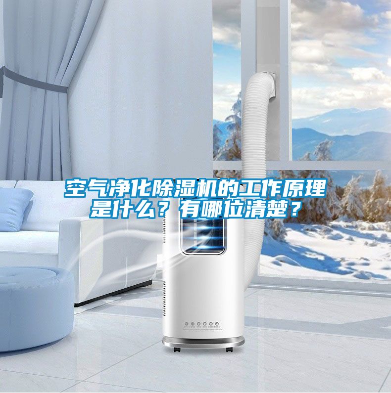 空氣凈化除濕機的工作原理是什么？有哪位清楚？
