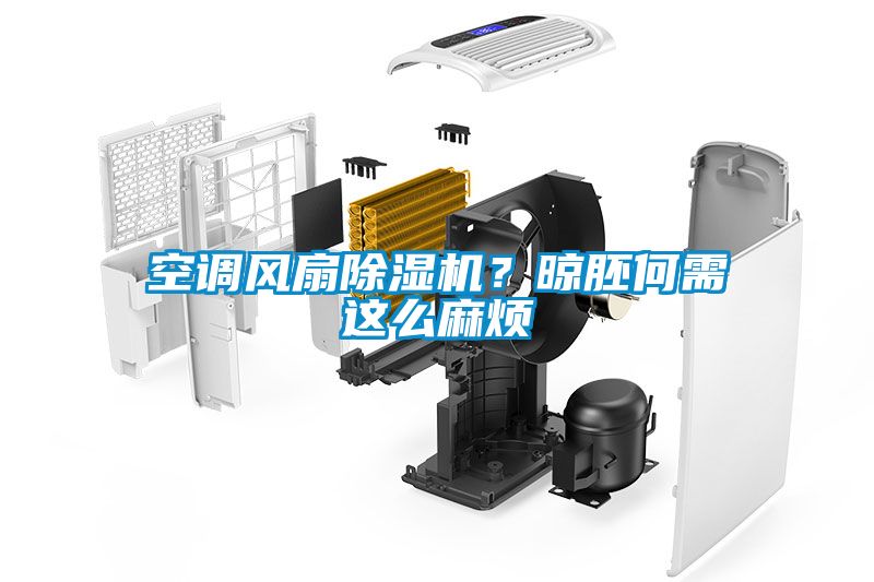 空調(diào)風(fēng)扇除濕機(jī)？晾胚何需這么麻煩