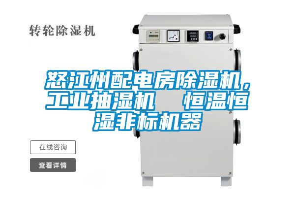 怒江州配電房除濕機，工業(yè)抽濕機  恒溫恒濕非標機器