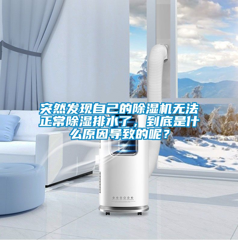 突然發(fā)現(xiàn)自己的除濕機(jī)無法正常除濕排水了，到底是什么原因?qū)е碌哪兀?/></p>
						    <p style=