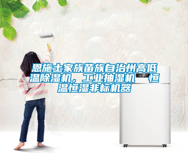 恩施土家族苗族自治州高低溫除濕機，工業(yè)抽濕機  恒溫恒濕非標機器