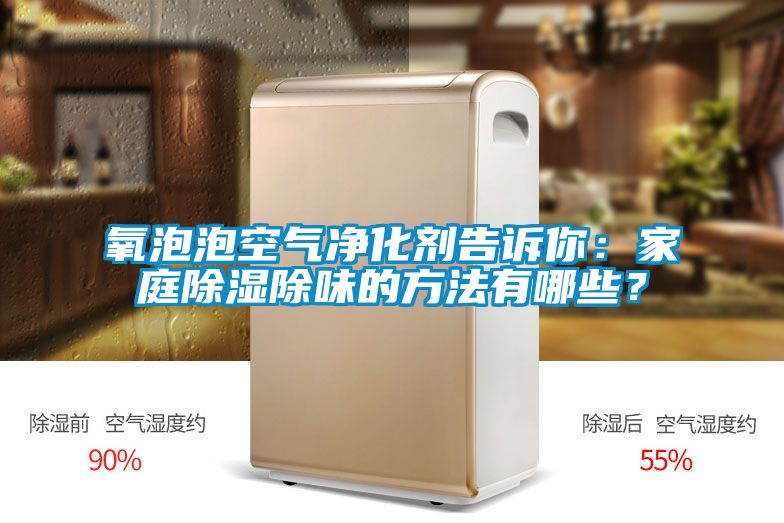 氧泡泡空氣凈化劑告訴你：家庭除濕除味的方法有哪些？