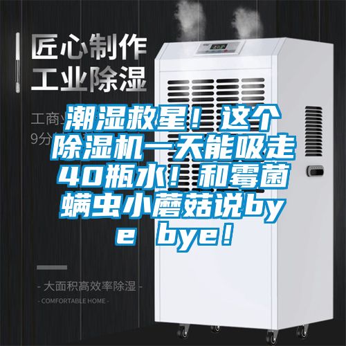 潮濕救星！這個(gè)除濕機(jī)一天能吸走40瓶水！和霉菌螨蟲小蘑菇說(shuō)bye bye！