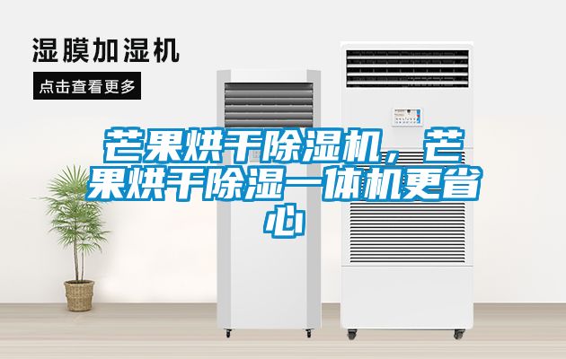 芒果烘干除濕機，芒果烘干除濕一體機更省心