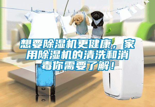 想要除濕機更健康，家用除濕機的清洗和消毒你需要了解！