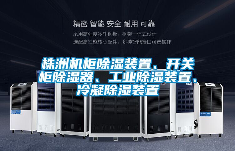 株洲機柜除濕裝置、開關柜除濕器、工業(yè)除濕裝置、冷凝除濕裝置