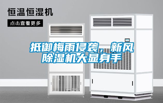 抵御梅雨侵襲，新風除濕機大顯身手