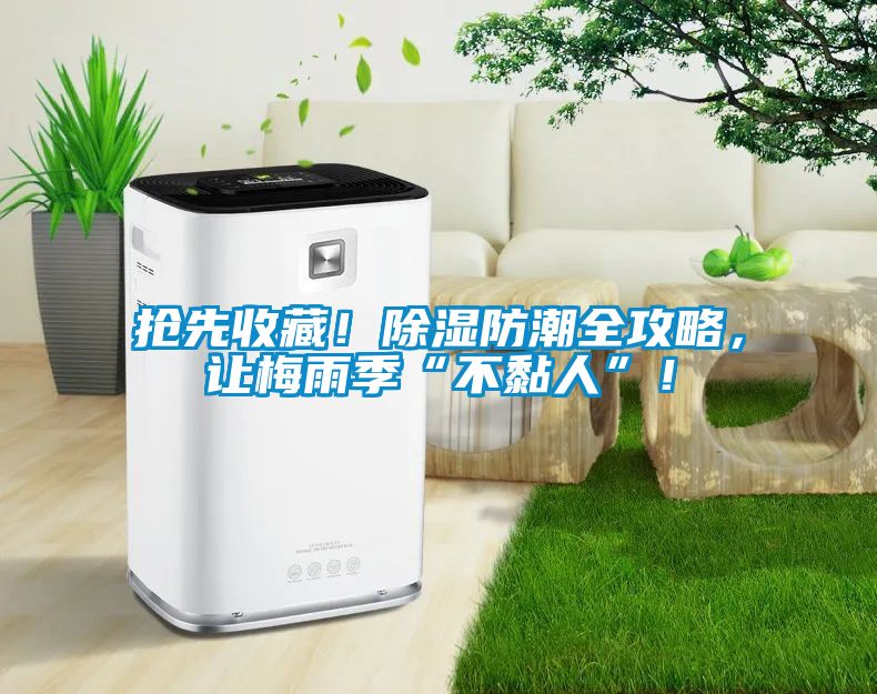 搶先收藏！除濕防潮全攻略，讓梅雨季“不黏人”！
