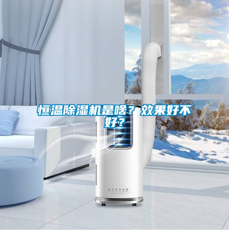 恒溫除濕機(jī)是啥？效果好不好？