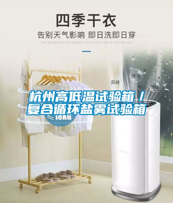 杭州高低溫試驗箱／復(fù)合循環(huán)鹽霧試驗箱