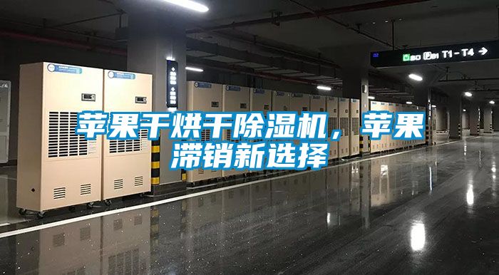 蘋果干烘干除濕機(jī)，蘋果滯銷新選擇