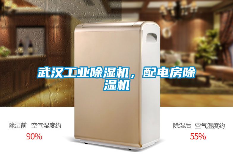 武漢工業(yè)除濕機，配電房除濕機