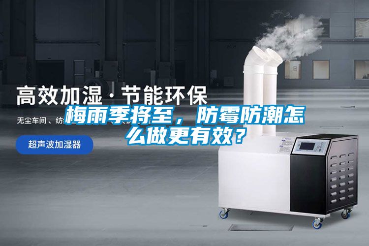 梅雨季將至，防霉防潮怎么做更有效？