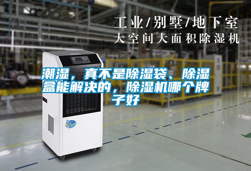 潮濕，真不是除濕袋、除濕盒能解決的，除濕機(jī)哪個(gè)牌子好