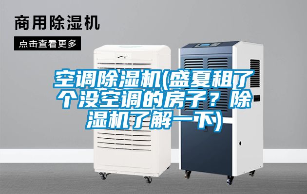 空調(diào)除濕機(jī)(盛夏租了個(gè)沒空調(diào)的房子？除濕機(jī)了解一下)