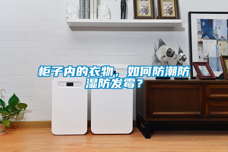 柜子內(nèi)的衣物，如何防潮防濕防發(fā)霉？
