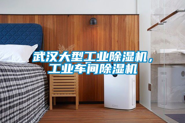 武漢大型工業(yè)除濕機(jī)，工業(yè)車間除濕機(jī)
