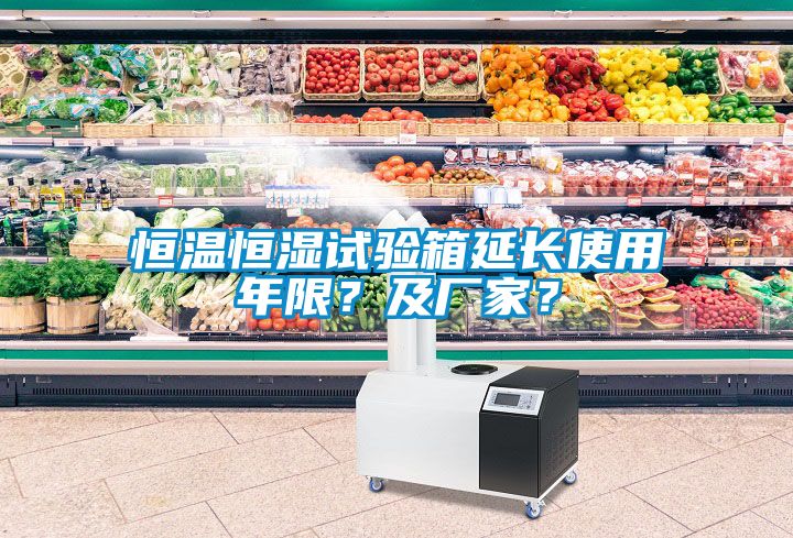 恒溫恒濕試驗(yàn)箱延長使用年限？及廠家？