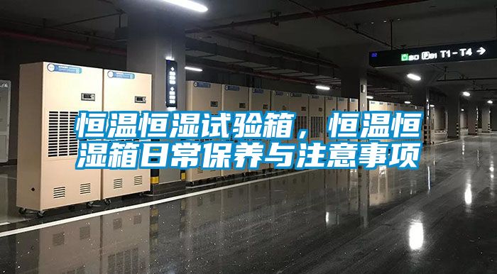 恒溫恒濕試驗(yàn)箱，恒溫恒濕箱日常保養(yǎng)與注意事項(xiàng)