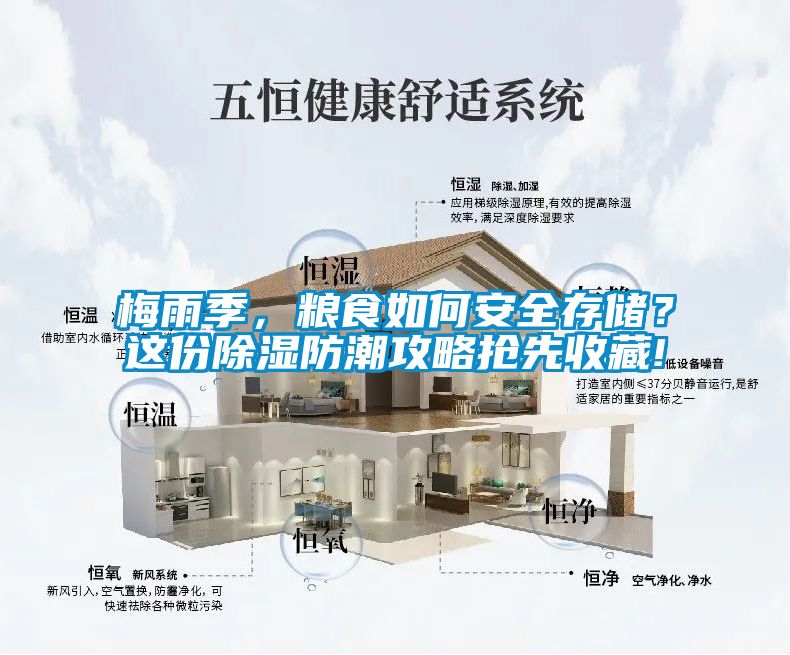 梅雨季，糧食如何安全存儲(chǔ)？這份除濕防潮攻略搶先收藏!