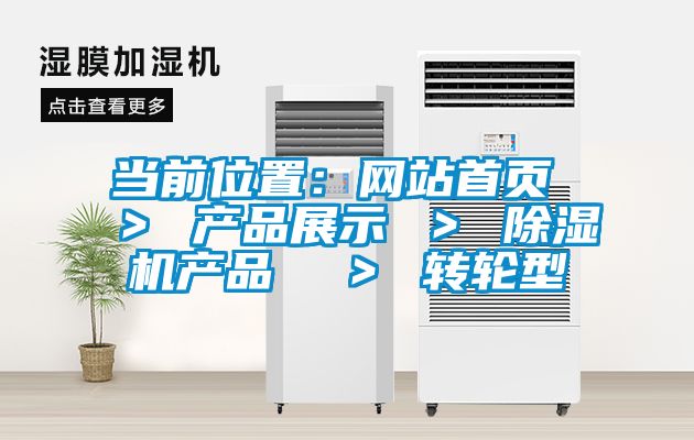 當前位置：網(wǎng)站首頁 ＞ 產(chǎn)品展示 ＞ 除濕機產(chǎn)品  ＞ 轉(zhuǎn)輪型