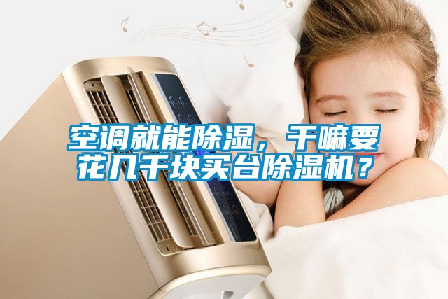 空調(diào)就能除濕，干嘛要花幾千塊買臺除濕機？