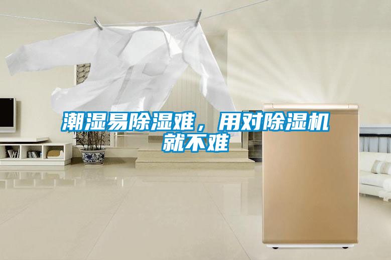 潮濕易除濕難，用對除濕機就不難